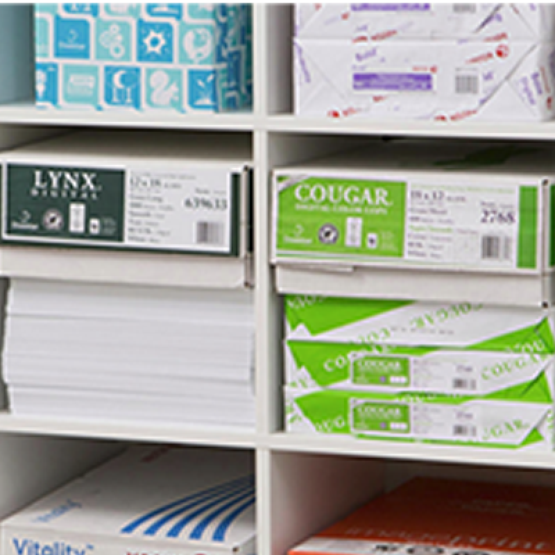 Papier à usages multiples et de couleur