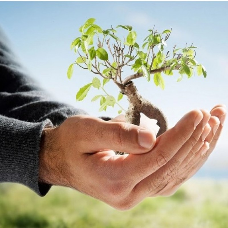  Dépliants avec papier recyclé 100%