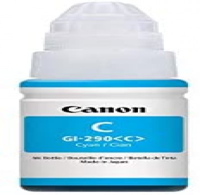 Cartouche d’encre Canon GI290 noir – compatible