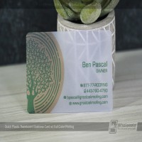 Cartes de visite en plastique translucide Quick_4